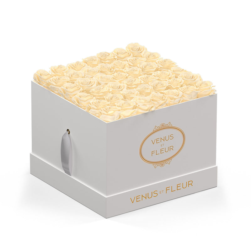 Large Square White Classic Roses