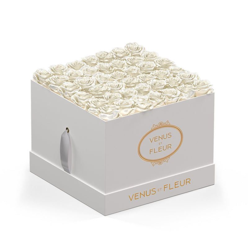 Large Square White Classic Roses