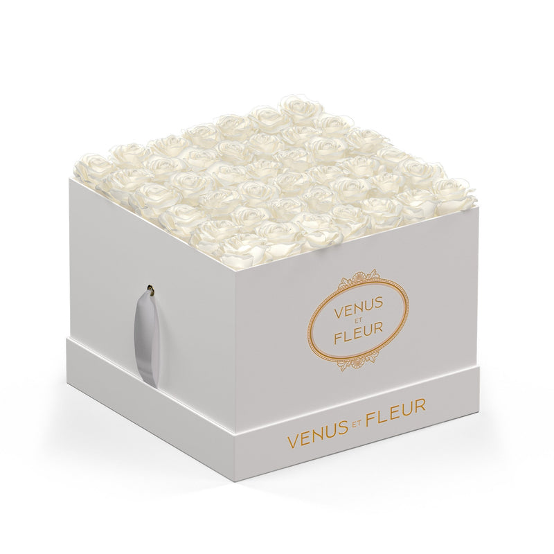 Large Square White Classic Roses
