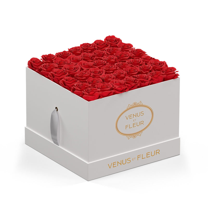 Large Square White Classic Roses