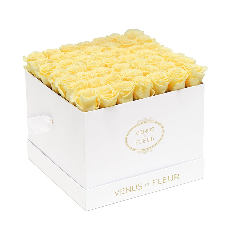 Large Square White Classic Roses