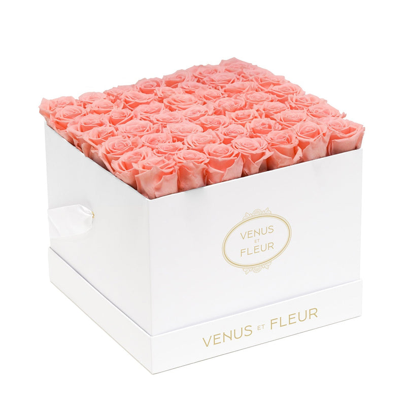Large Square White Classic Roses