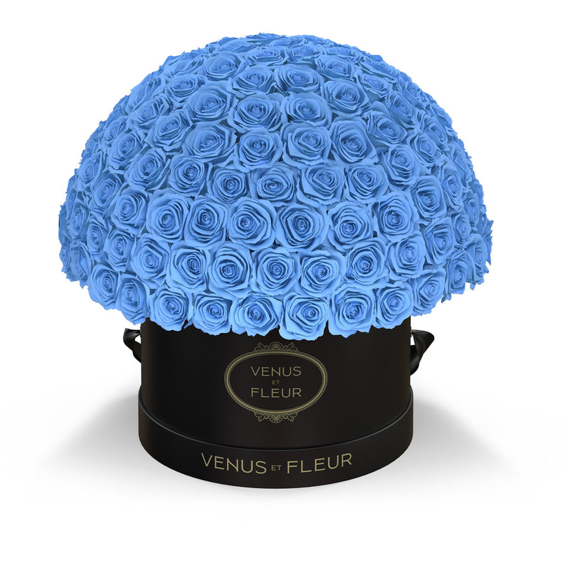 Large Le Plein Black Classic Roses