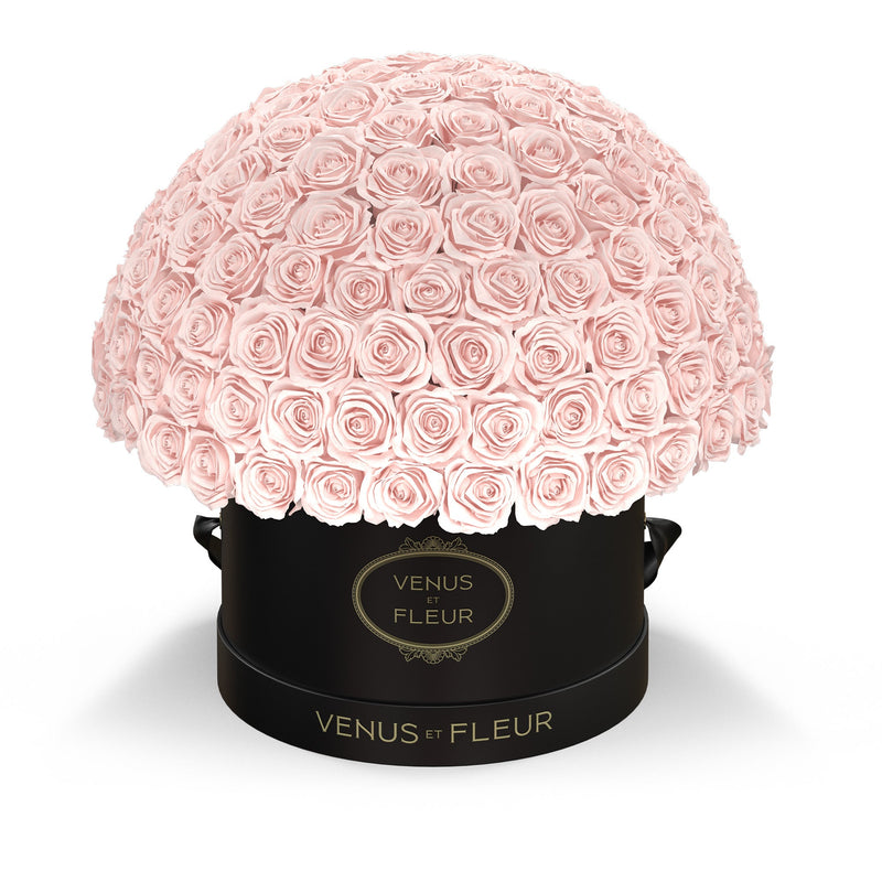 Large Le Plein Black Classic Roses
