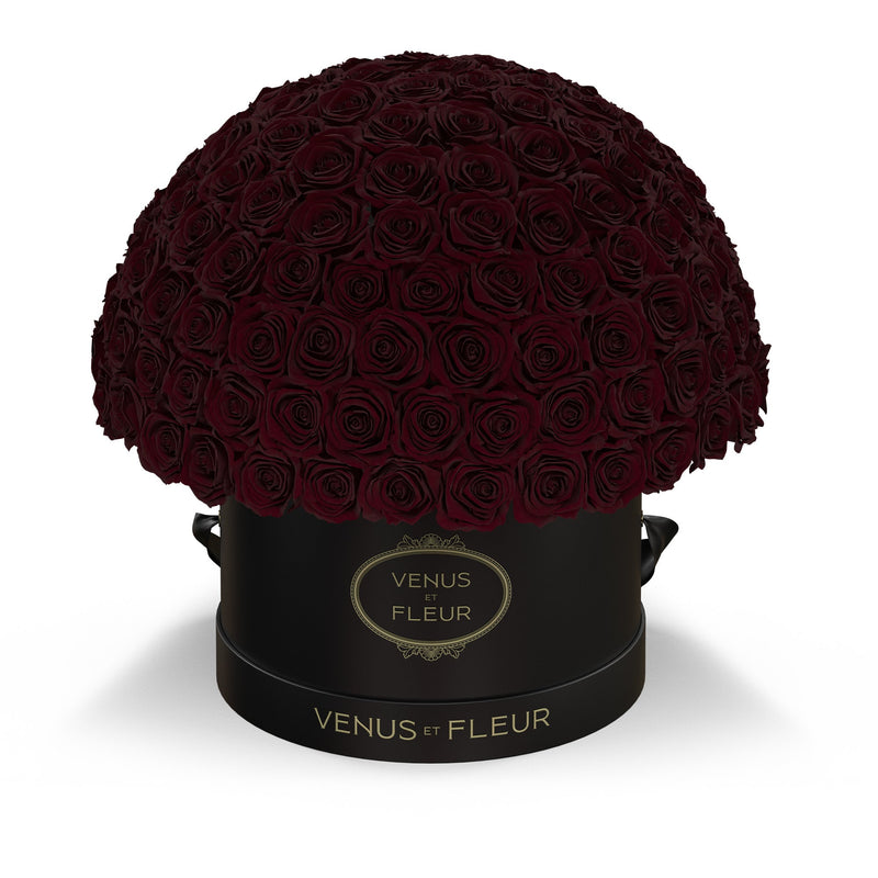 Large Le Plein Black Classic Roses