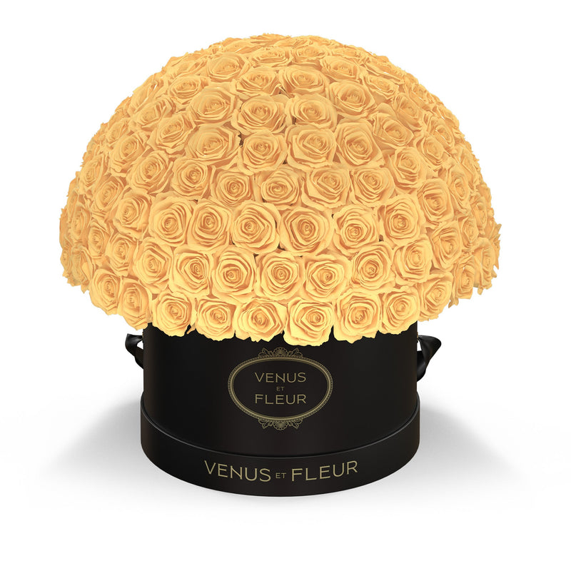 Large Le Plein Black Classic Roses