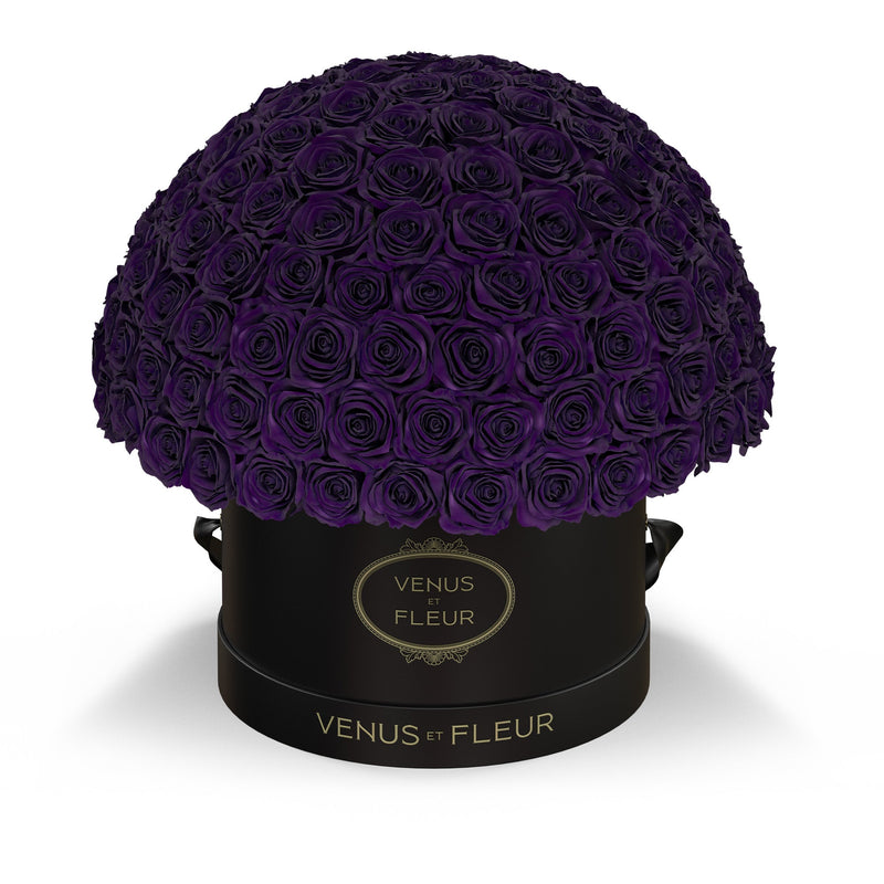 Large Le Plein Black Classic Roses
