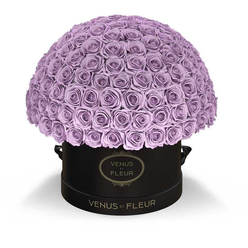 Large Le Plein Black Classic Roses