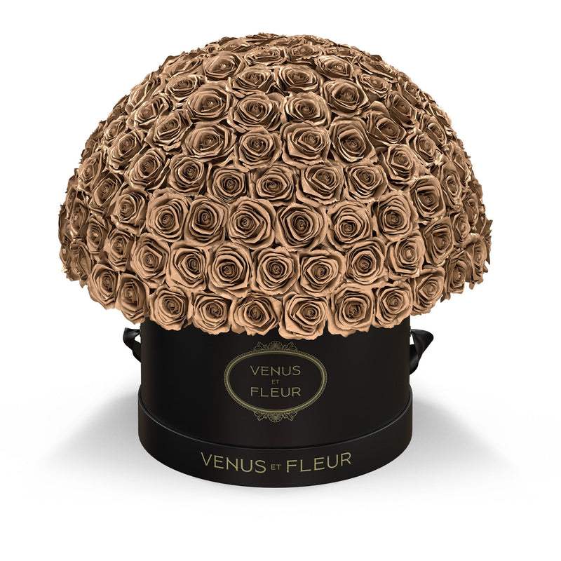 Large Le Plein Black Classic Roses