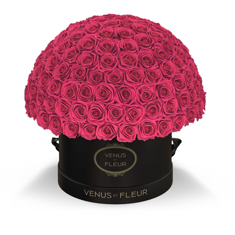 Large Le Plein Black Classic Roses