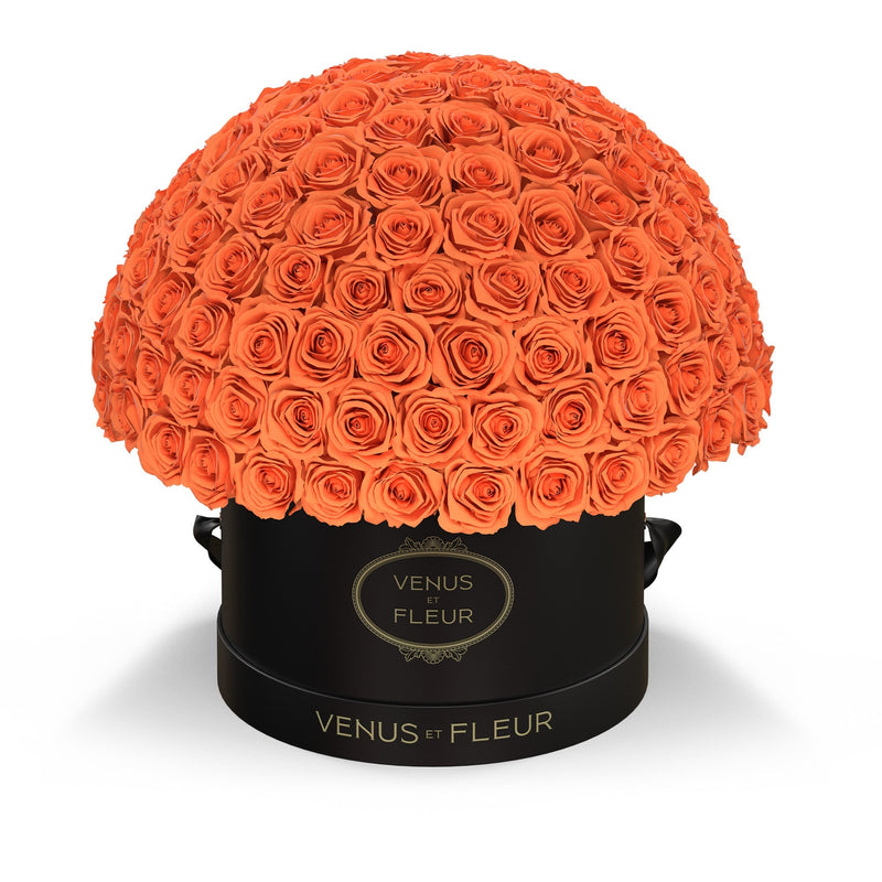 Large Le Plein Black Classic Roses
