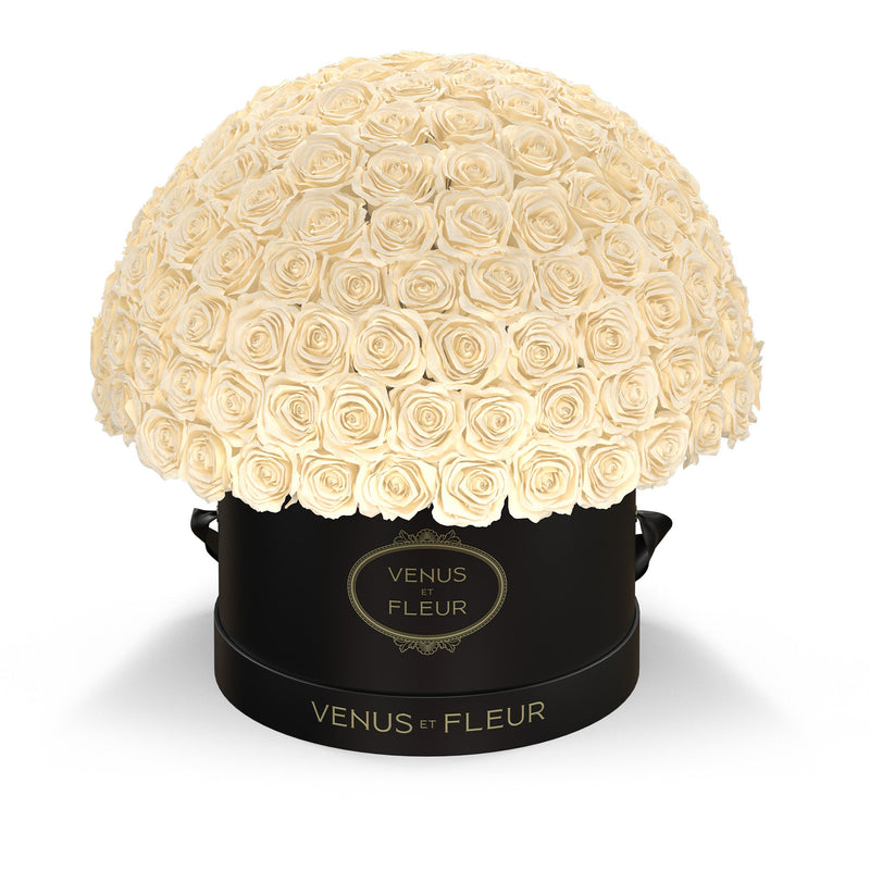 Large Le Plein Black Classic Roses