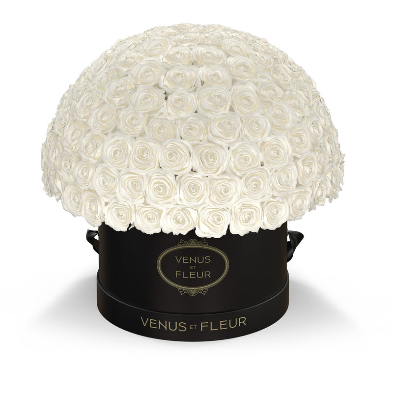 Large Le Plein Black Classic Roses