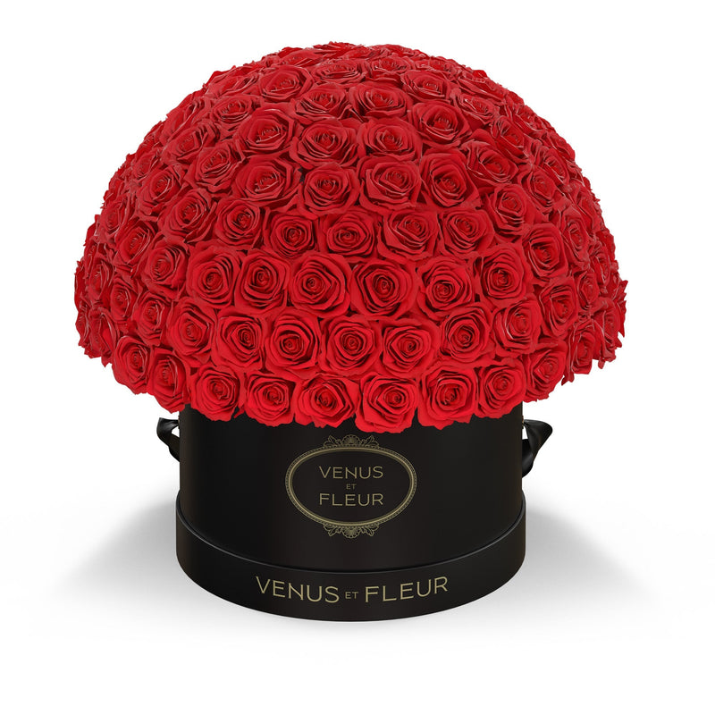 Large Le Plein Black Classic Roses
