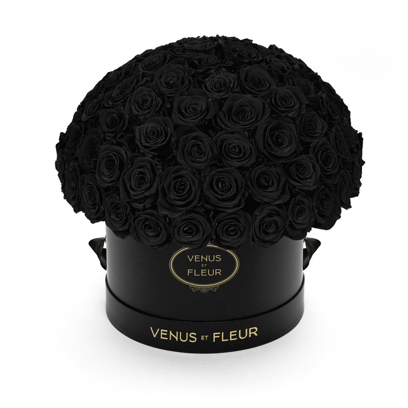Large Le Plein Black Classic Roses