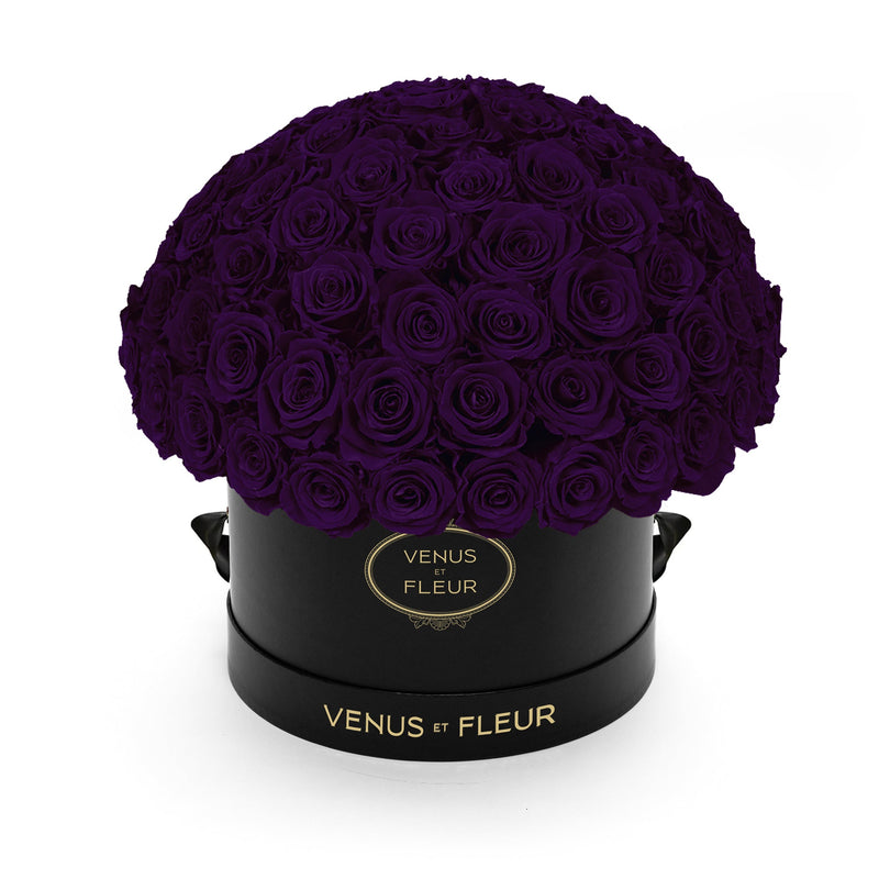 Large Le Plein Black Classic Roses