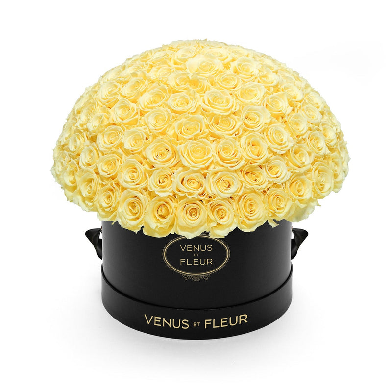 Large Le Plein Black Classic Roses