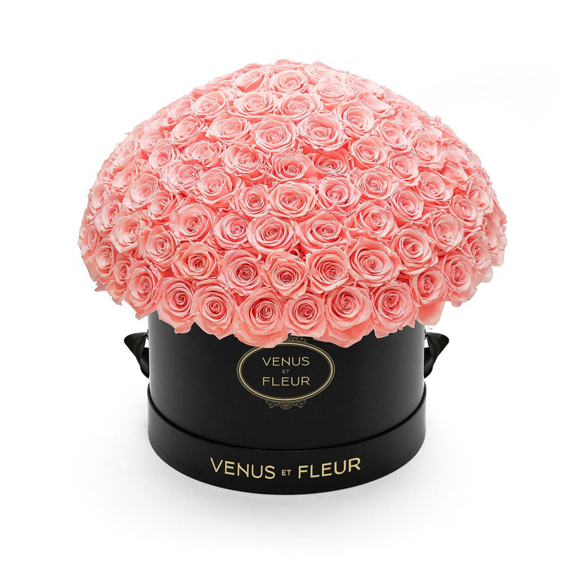 Large Le Plein Black Classic Roses
