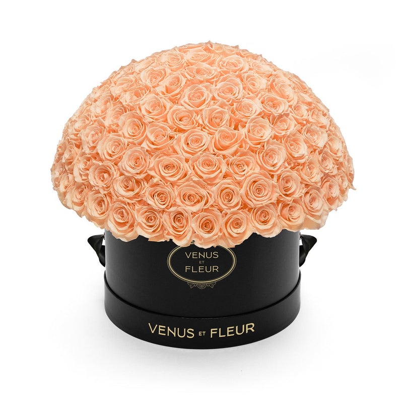 Large Le Plein Black Classic Roses