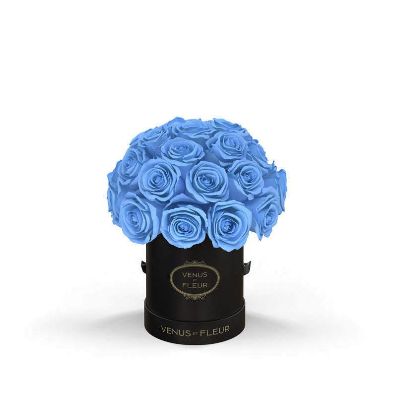 Mini Le Plein Black Classic Roses