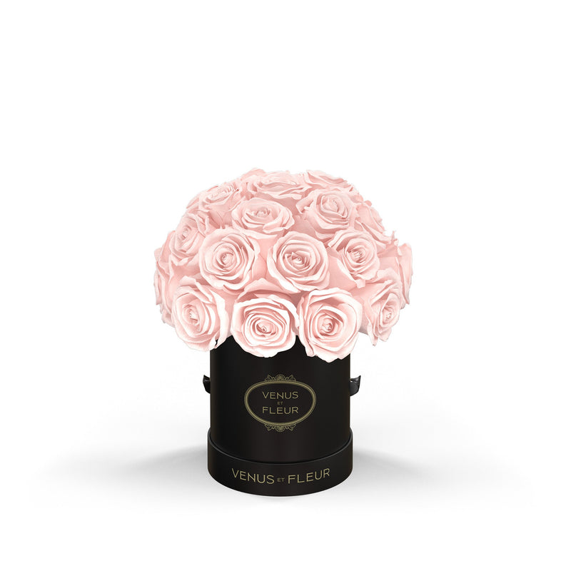 Mini Le Plein Black Classic Roses