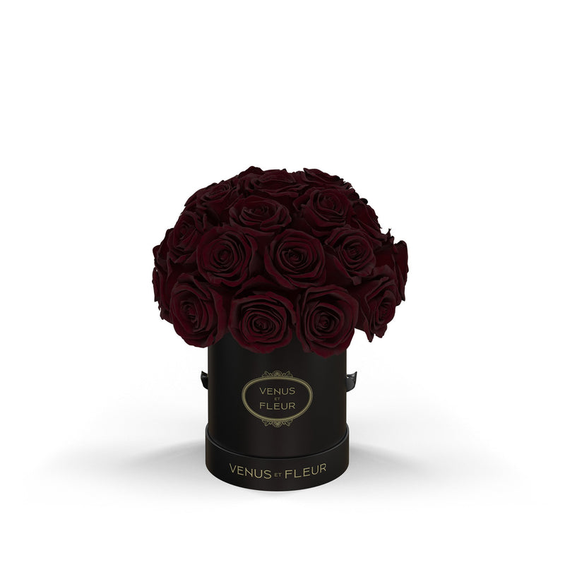 Mini Le Plein Black Classic Roses