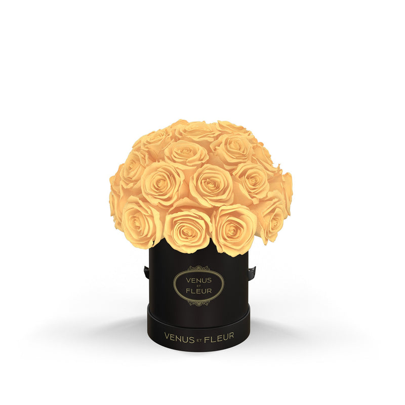 Mini Le Plein Black Classic Roses
