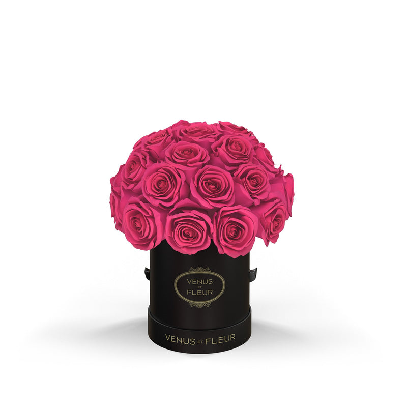 Mini Le Plein Black Classic Roses