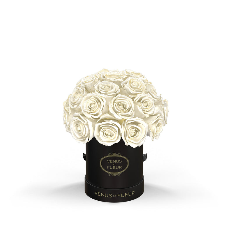 Mini Le Plein Black Classic Roses