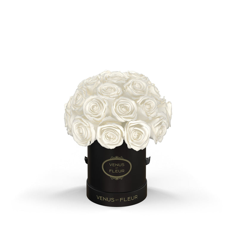 Mini Le Plein Black Classic Roses