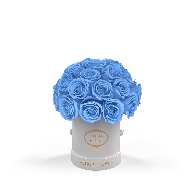 Mini Le Plein White Classic Roses