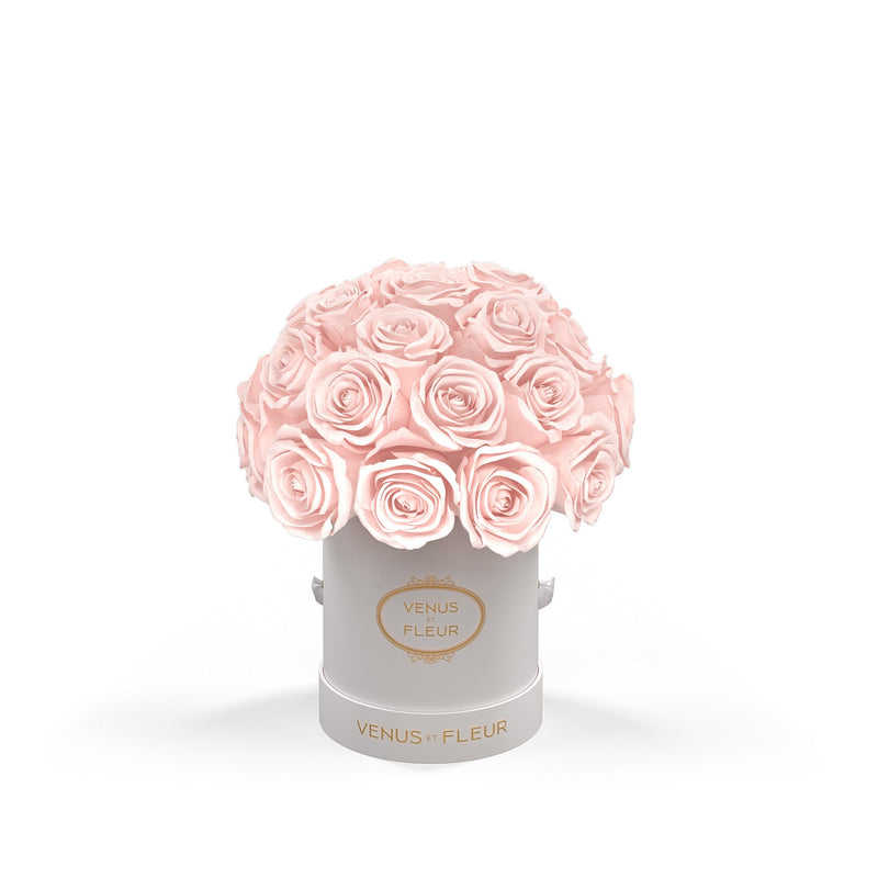 Mini Le Plein White Classic Roses