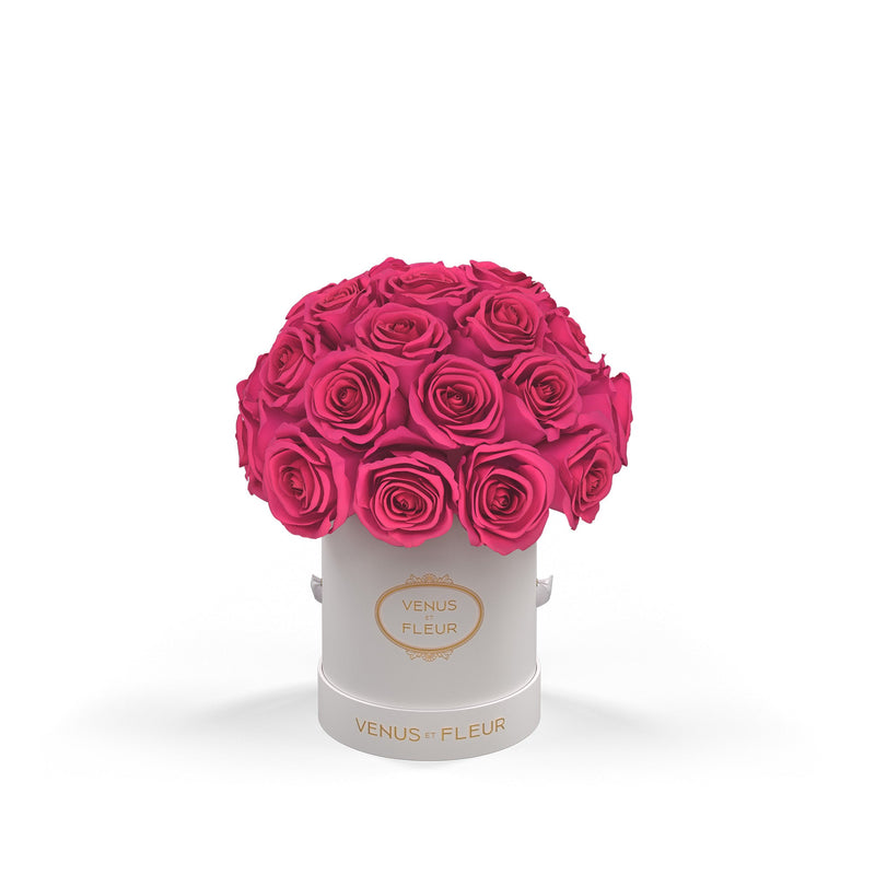 Mini Le Plein White Classic Roses