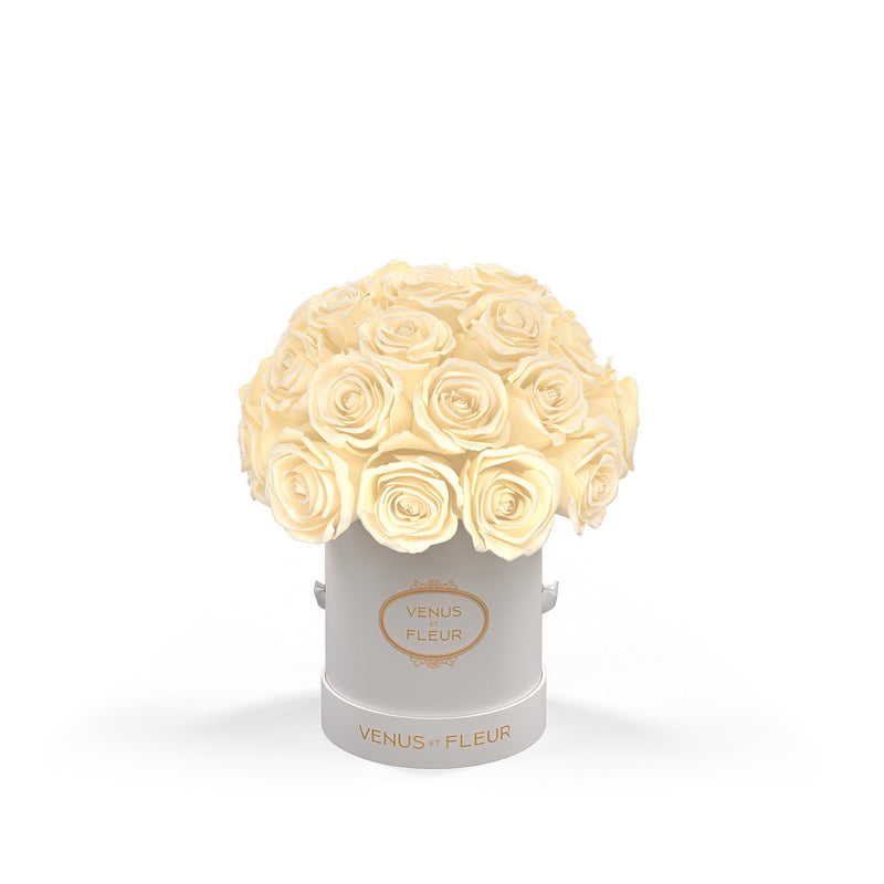 Mini Le Plein White Classic Roses