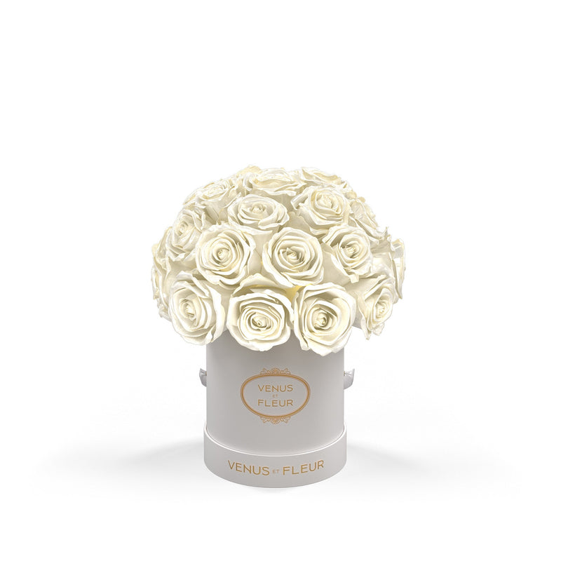 Mini Le Plein White Classic Roses