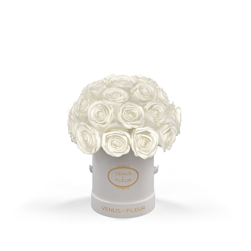 Mini Le Plein White Classic Roses