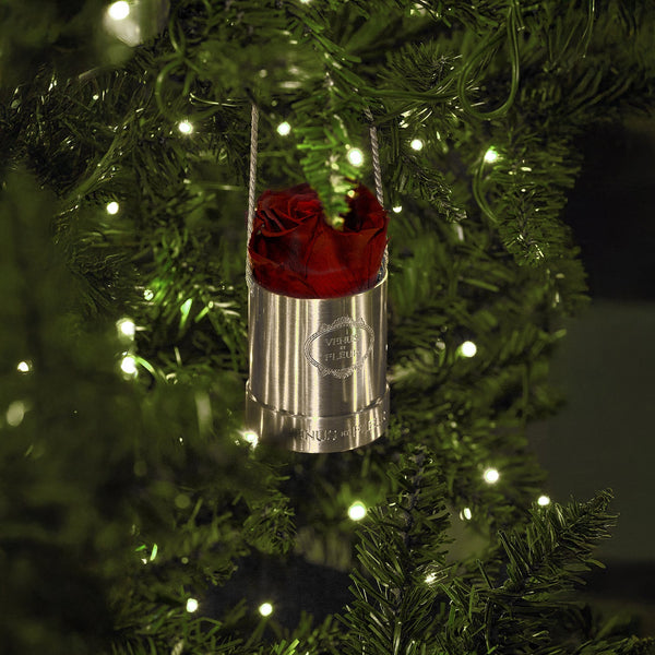 image-with-thumbnail 