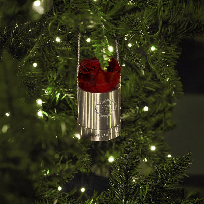 image-with-thumbnail 