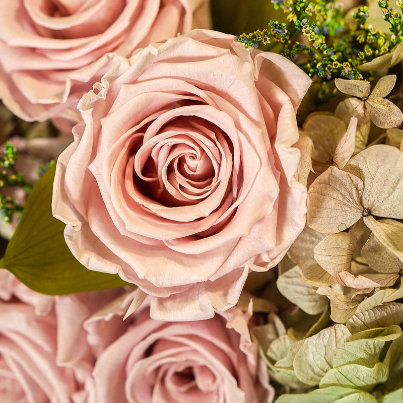Thalia Porcelain Vase Roses & Hydrangeas
