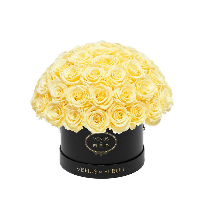 Small Le Plein Black Classic Roses