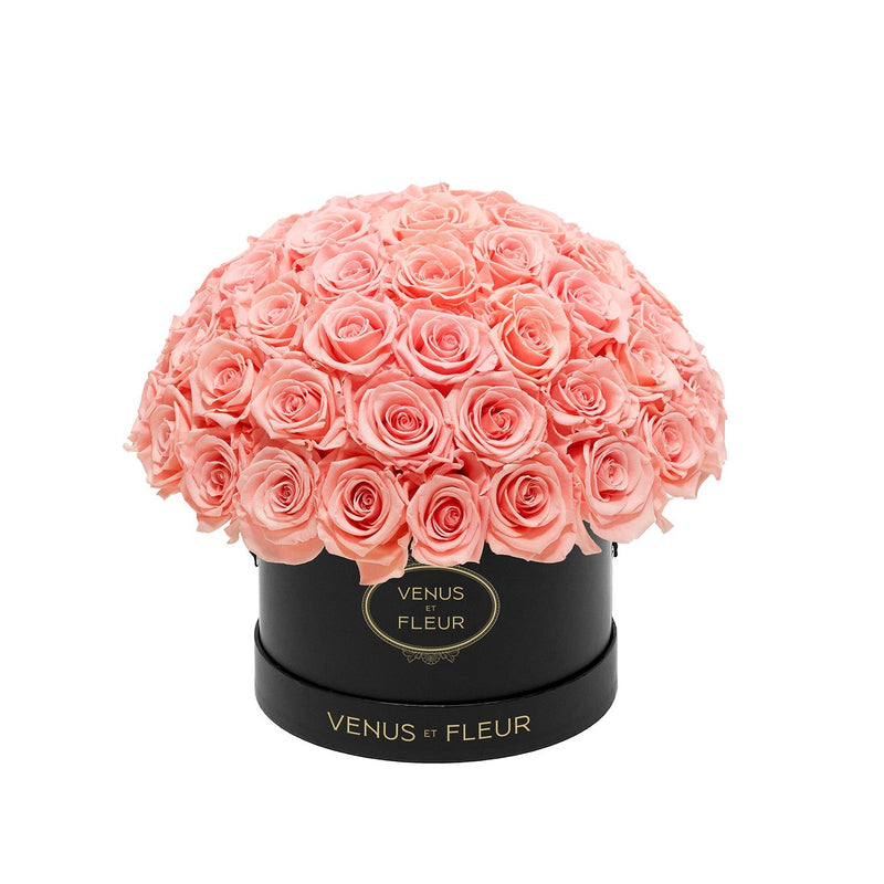 Small Le Plein Black Classic Roses