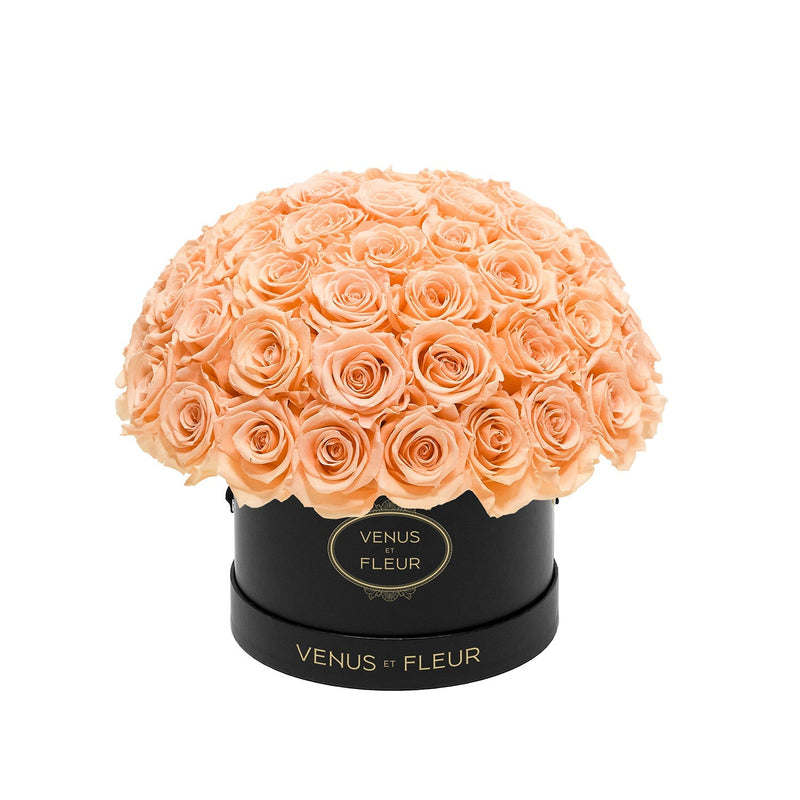 Small Le Plein Black Classic Roses