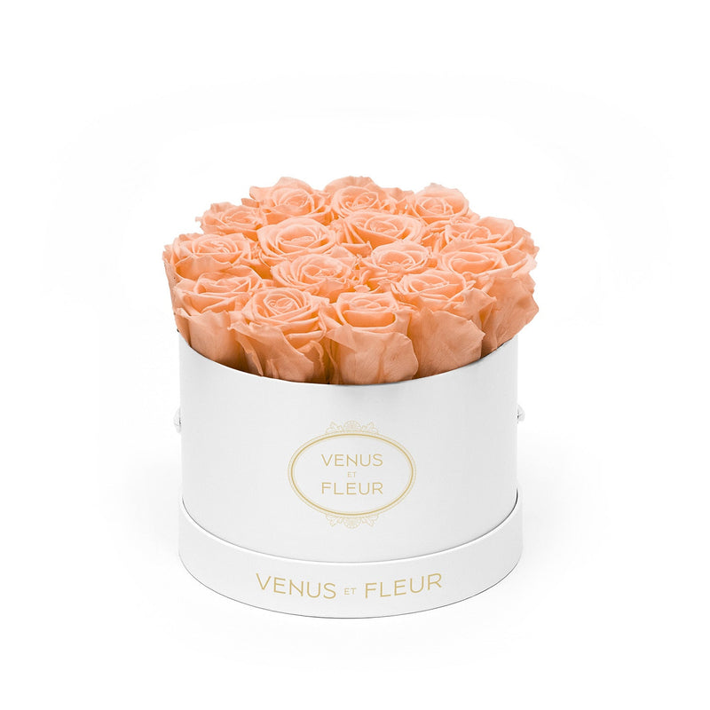 Small Round White Classic Roses