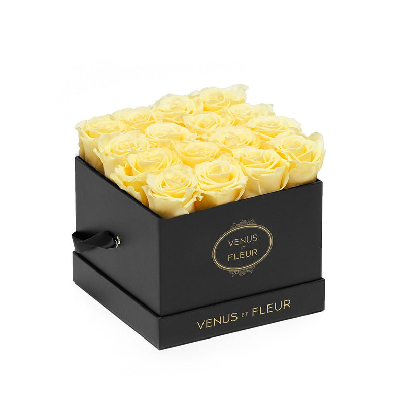 Small Square Black Classic Roses