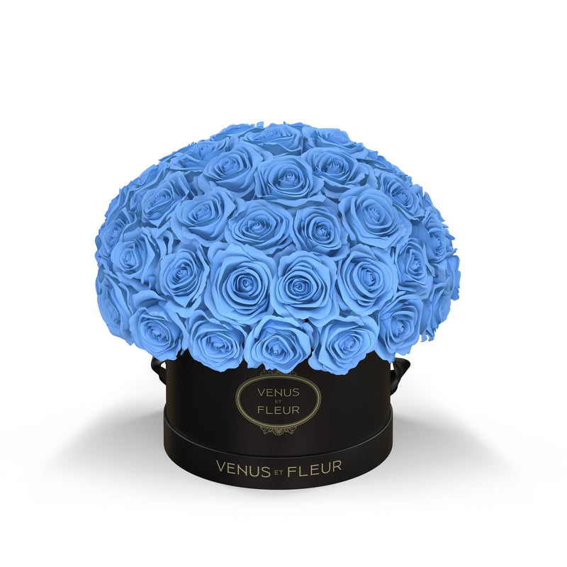 Small Le Plein Black Classic Roses