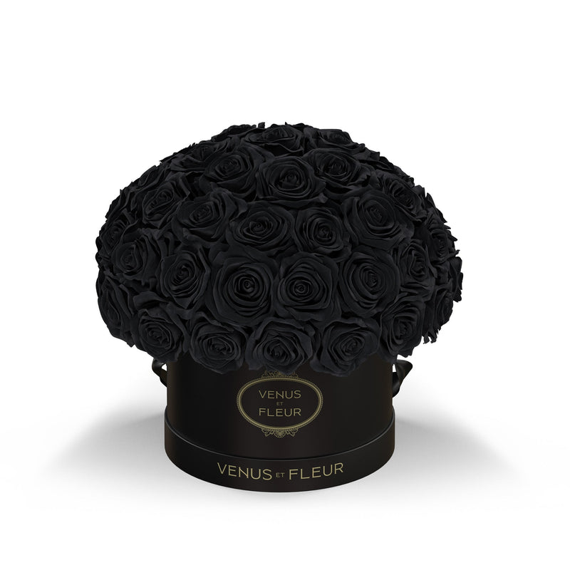 Small Le Plein Black Classic Roses