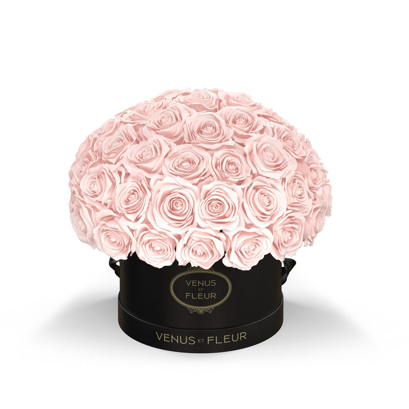 Small Le Plein Black Classic Roses