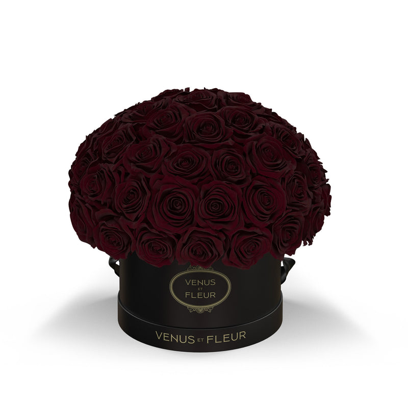 Small Le Plein Black Classic Roses
