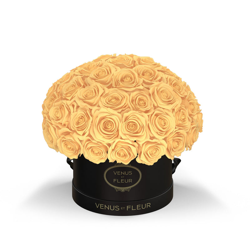 Small Le Plein Black Classic Roses