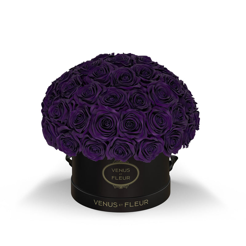Small Le Plein Black Classic Roses